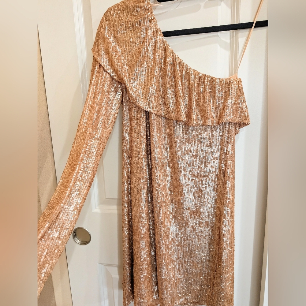 Zara Rose Gold -Pink Sequin One Shoulder Dress